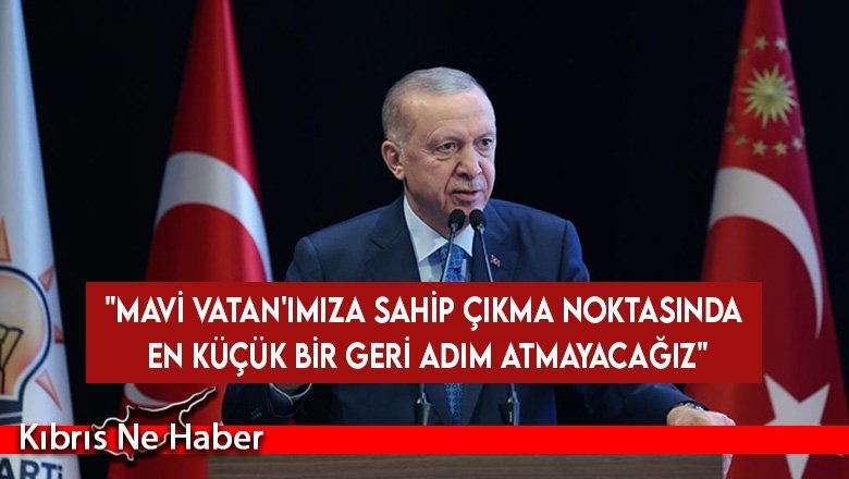 Erdoğan: "Mavi Vatan'ımıza sahip çıkma noktasında en küçük bir geri adım atmayacağız"