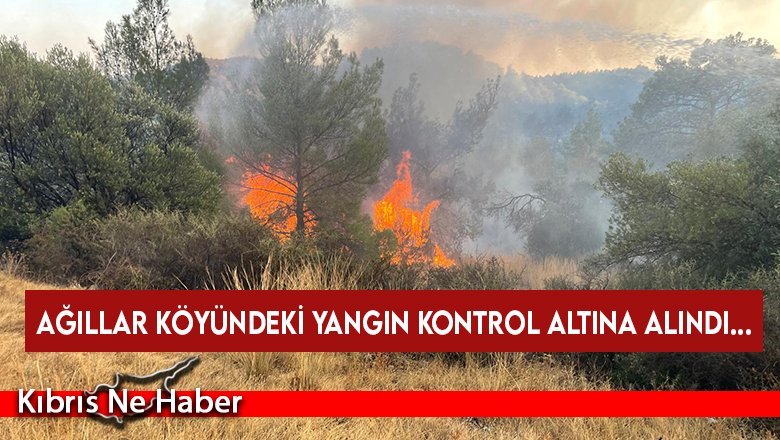 Ağıllar köyündeki yangın kontrol altına alındı...