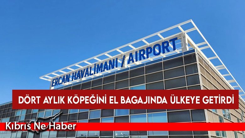 Dört aylık köpeğini el bagajında ülkeye getirdi