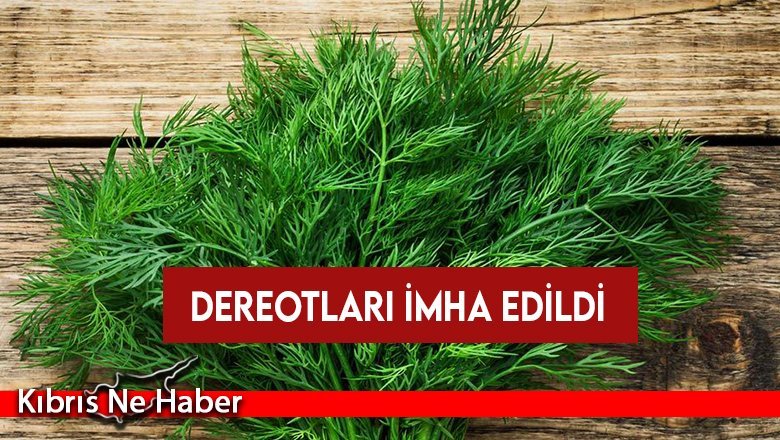 İthal dereotunda limit üstü bitki koruma ürünü bulundu