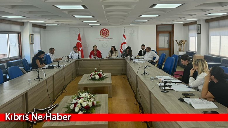 Maliye, Bütçe ve Plan Komitesi toplandı