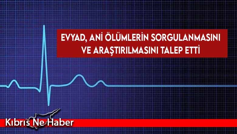 EVYAD: Ani ölümler sorgulanmalı