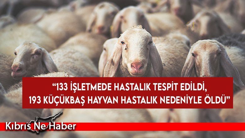 Tarım ve Doğal Kaynaklar Bakanlığı’ndan Mavi dil açıklaması...