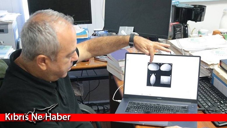 Kıbrıs’ta keşfedilen 2 yeni canlı türünden birine Rauf Denktaş'ın ismi verildi