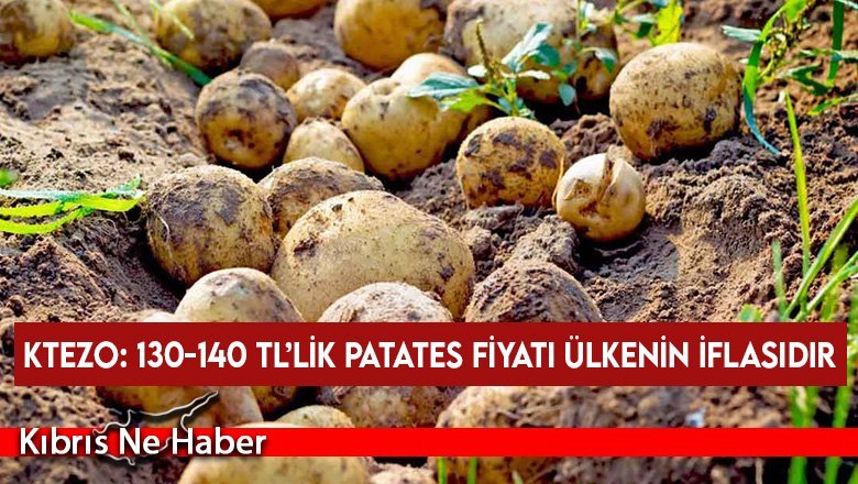 KTEZO: 130-140 TL’lik patates fiyatı ülkenin iflasıdır