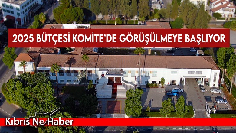 2025 bütçesi pazartesi günü Komite’de görüşülmeye başlayacak