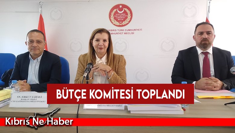 Gündemde Tarım ve Sağlık bakanlıklarının bütçeleri var