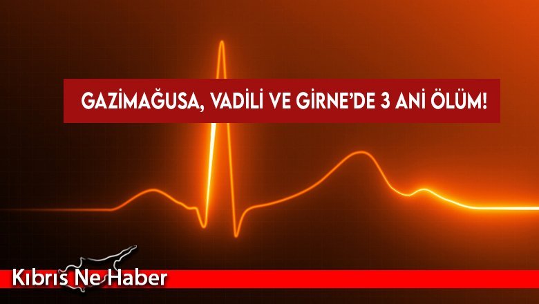 3 ani ölüm birden...