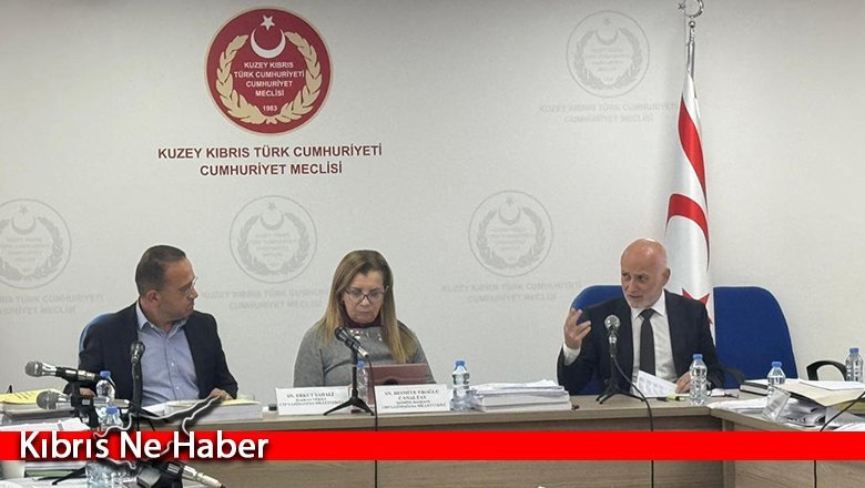 Komitede Türk Ajansı Kıbrıs ve Sivil Savunma Teşkilat Başkanlığı bütçeleri kabul edildi