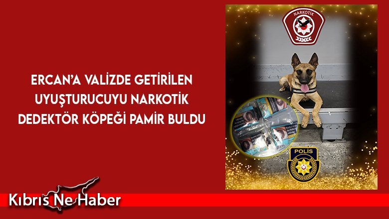Ercan’a valizde getirilen uyuşturucuyu Narkotik Dedektör köpeği Pamir buldu