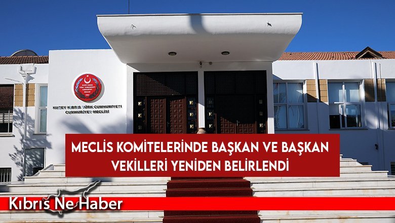 Meclis komitelerinde başkan ve başkan vekilleri yeniden belirlendi