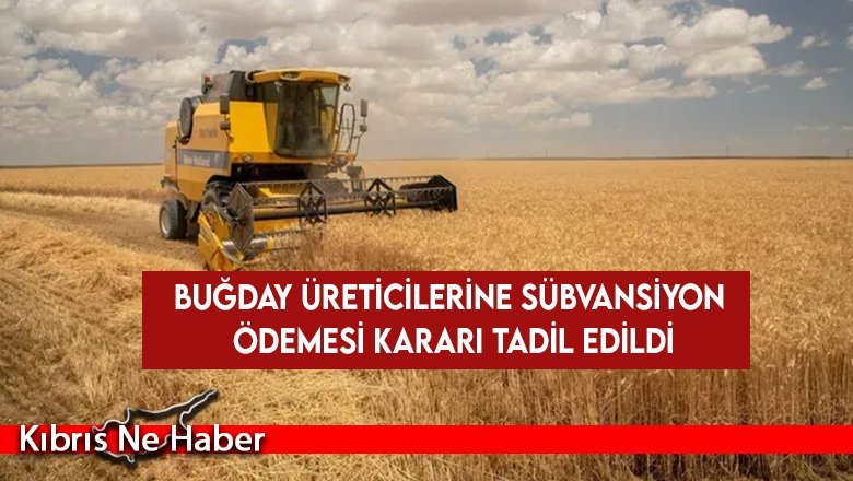 Buğday üreticilerine sübvansiyon ödemesi kararı tadil edildi