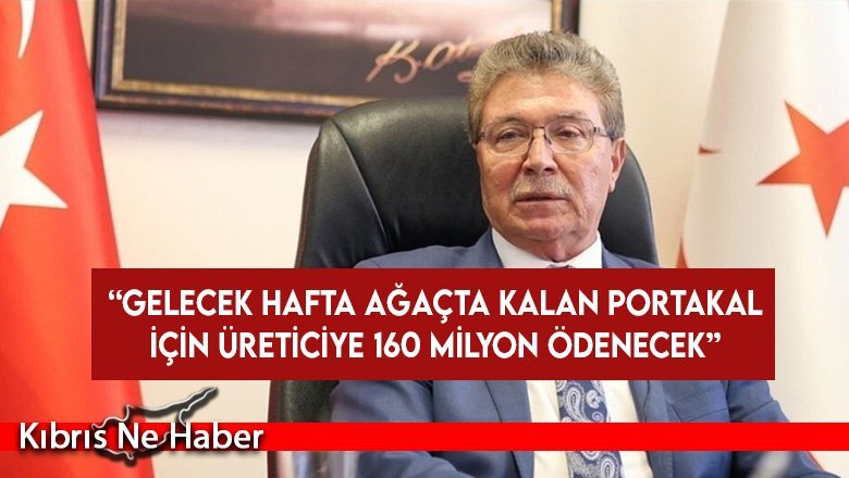 Üstel: Gelecek hafta ağaçta kalan portakal için üreticiye 160 milyon ödenecek