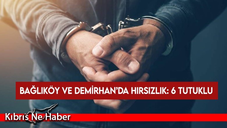 Bağlıköy ve Demirhan’da hırsızlık: 6 tutuklu