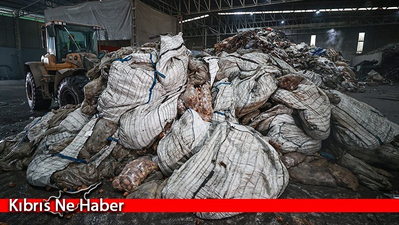 Bitki hastalığı tespit edilen patateslerin Mersin'de imhası sürüyor