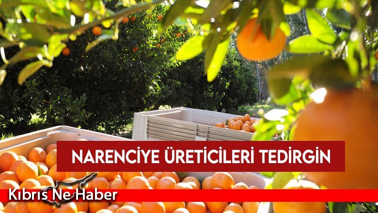 Akçın: Destek vermeye hazırlıklı olun