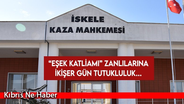 “Eşek katliamı” zanlılarına ikişer gün tutukluluk…