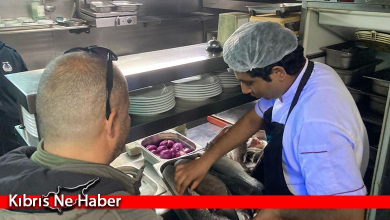 Hayvancılık Dairesi'nden su ürünleri denetimi