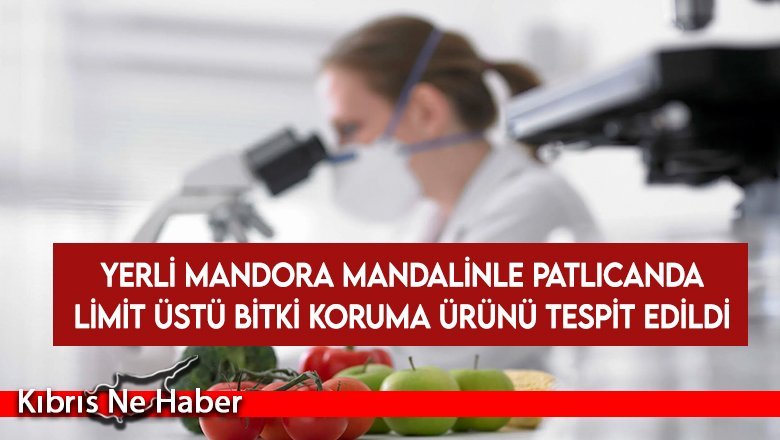 Yerli mandora mandalinle patlıcanda limit üstü bitki koruma ürünü tespit edildi