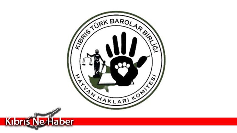 Barolar Birliği, Altın Patiler ve Kıbrıs Hayvan Hakları Derneği ile Meclis’e siyah çelenk bırakacaklarını duyurdu