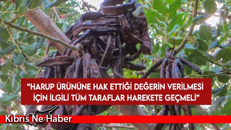 EZKOOP ve Zeytin Koop'tan çağrı...