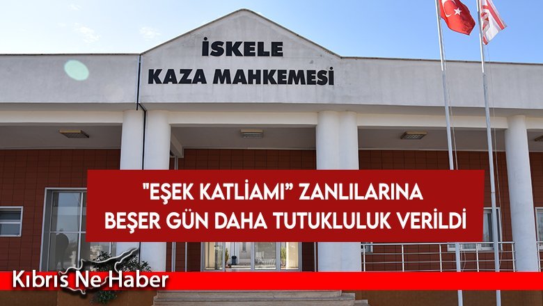 "Eşek katliamı” zanlılarına beşer gün daha tutukluluk verildi