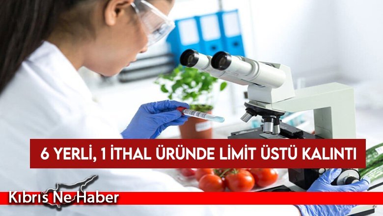 Gıda denetimlerinde 6 yerli, 1 ithal üründe limit üstü kalıntı tespit edildi