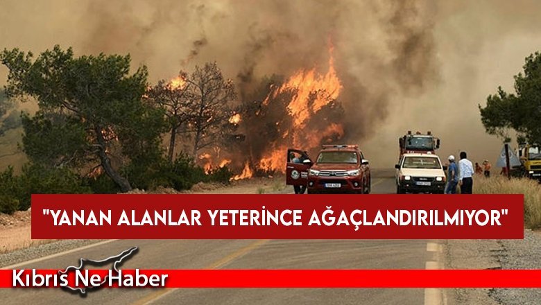 OMO'dan Dünya Ormancılık Günü mesajı: Yanan alanlar yeterince ağaçlandırılmıyor