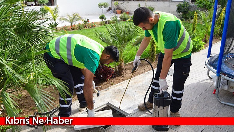 LTB hamam böceğiyle mücadeleye Metehan ve Kermiya'da başladı