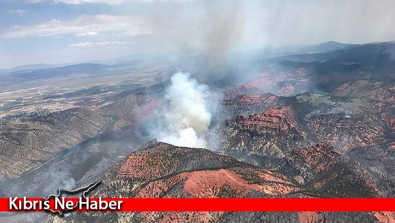 ABD'nin Arizona eyaletindeki orman yangınlarında 8 bin 265 hektarlık alan yandı