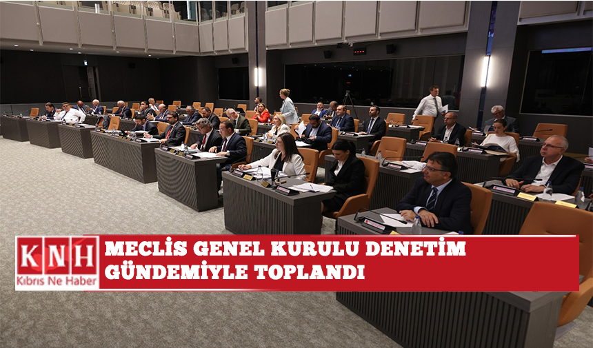 Meclis Genel Kurulu denetim gündemiyle toplandı