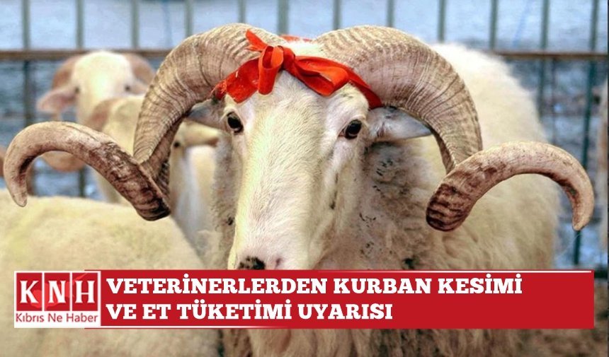 Veterinerlerden kurban kesimi ve et tüketimi uyarısı