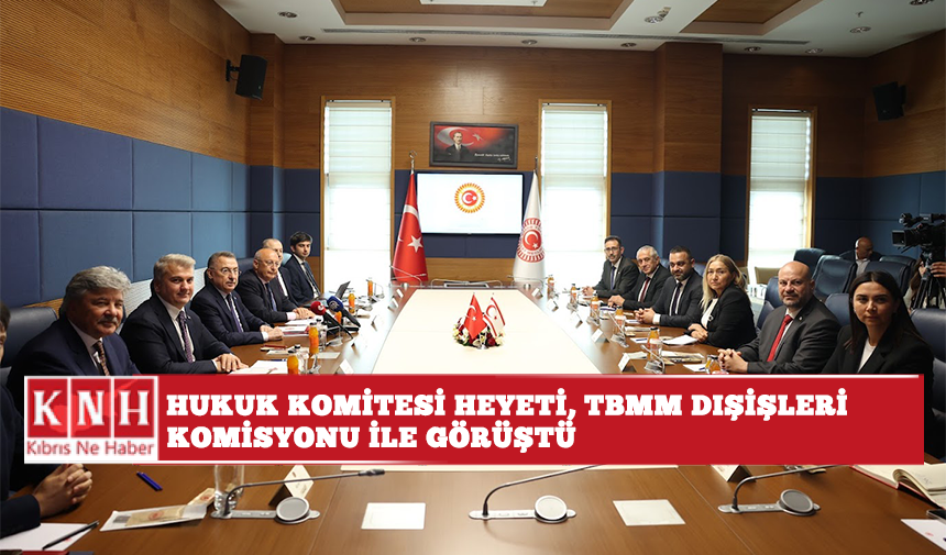 Hukuk Komitesi heyeti, TBMM Dışişleri Komisyonu ile görüştü