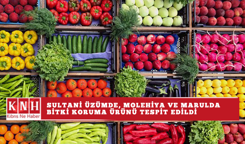 Sultani üzümde, molehiya ve marulda bitki koruma ürünü tespit edildi