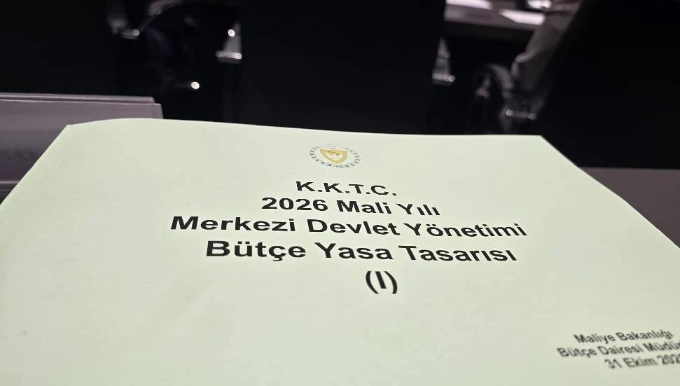 Serbest Liman ve Bölge Müdürlüğü ile Rekabet Kurulu bütçeleri Komite'de onaylandı