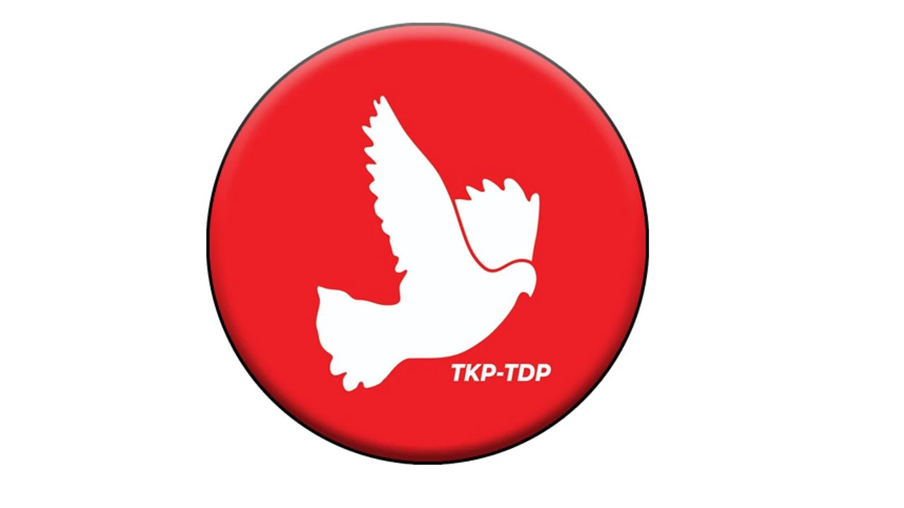 TDP, Ev İçi Şiddet Yasası’nın geçmesi için çağrı yaptı