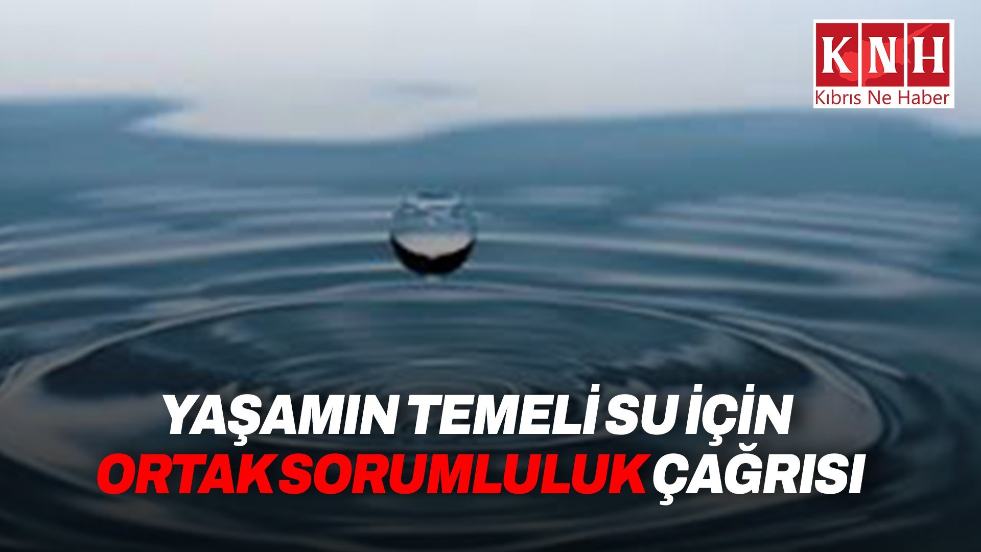 Biyologlar Derneği’nden "Dünya Su Günü" mesajı...