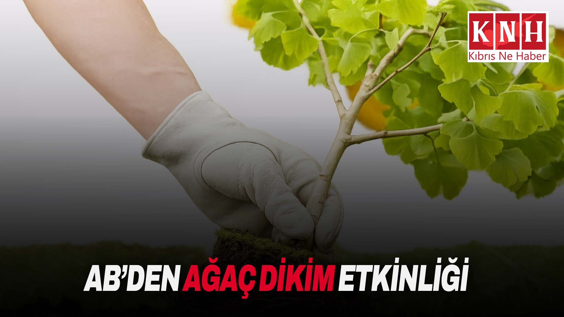 AB’den ağaç dikim etkinliği
