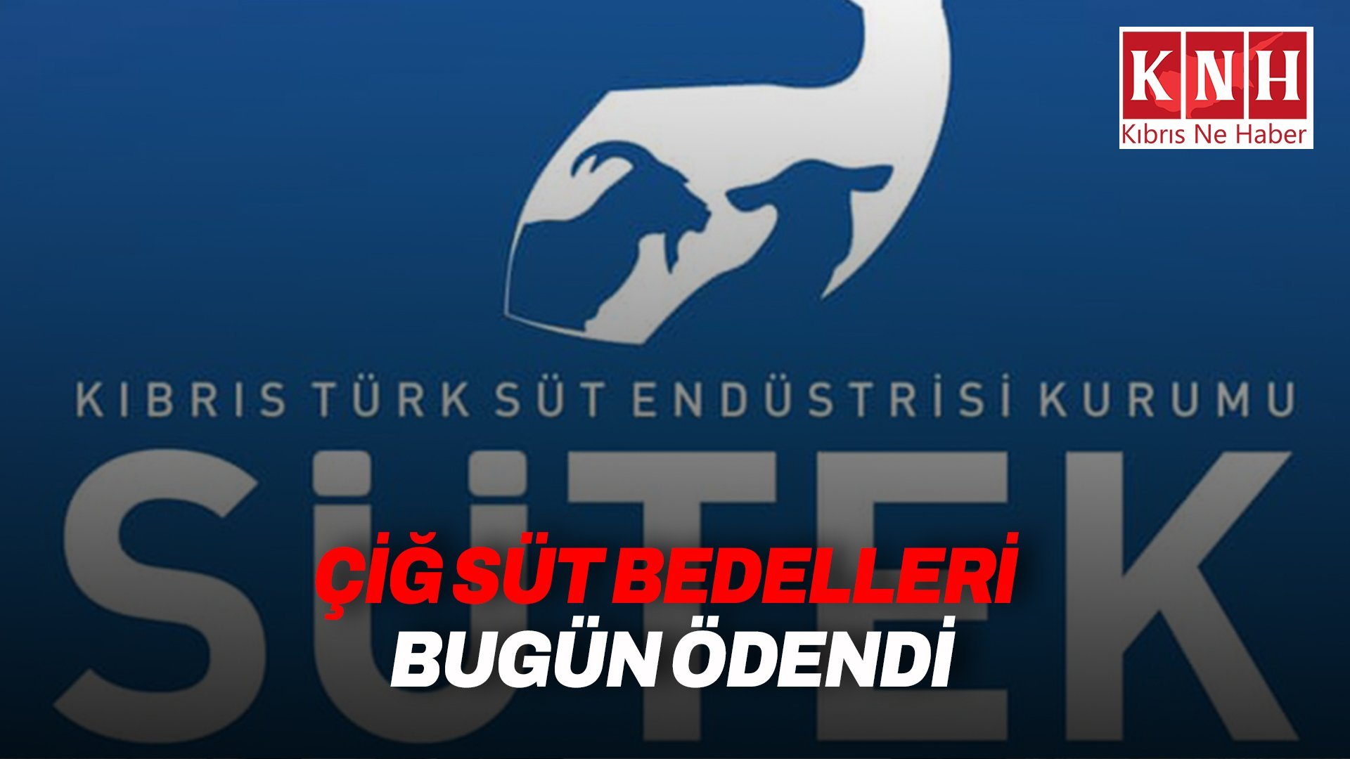 Süt bedelleri ödendi