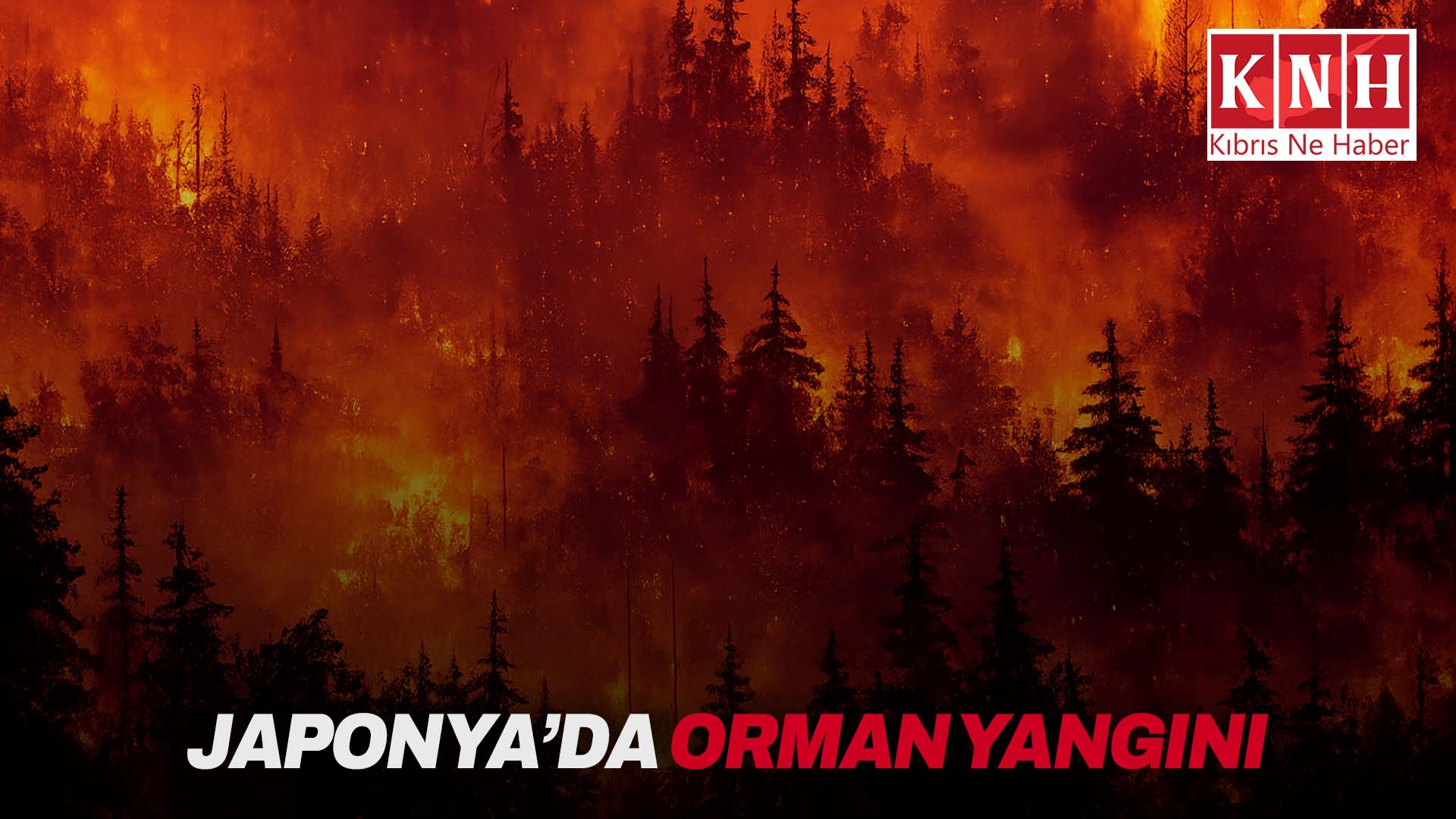 Japonya'da orman yangını: Bin hektardan fazla alan yandı