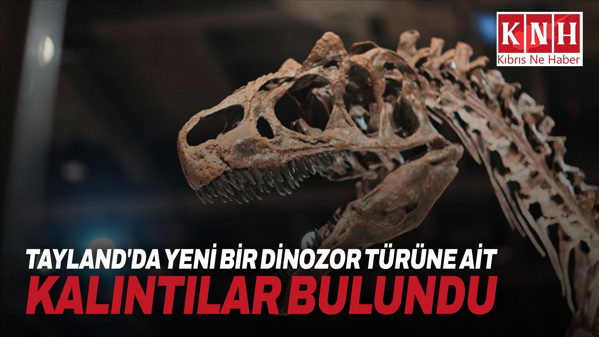 Tayland'da yeni bir dinozor türüne ait kalıntılar bulundu