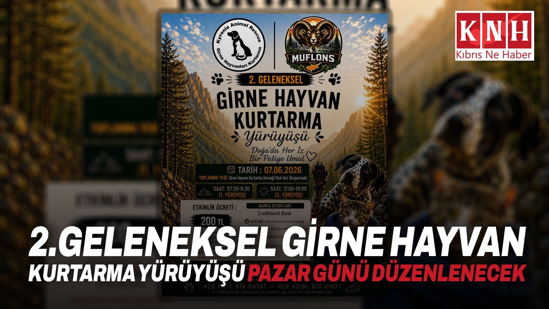 2.Geleneksel Girne Hayvan Kurtarma Yürüyüşü pazar günü düzenlenecek