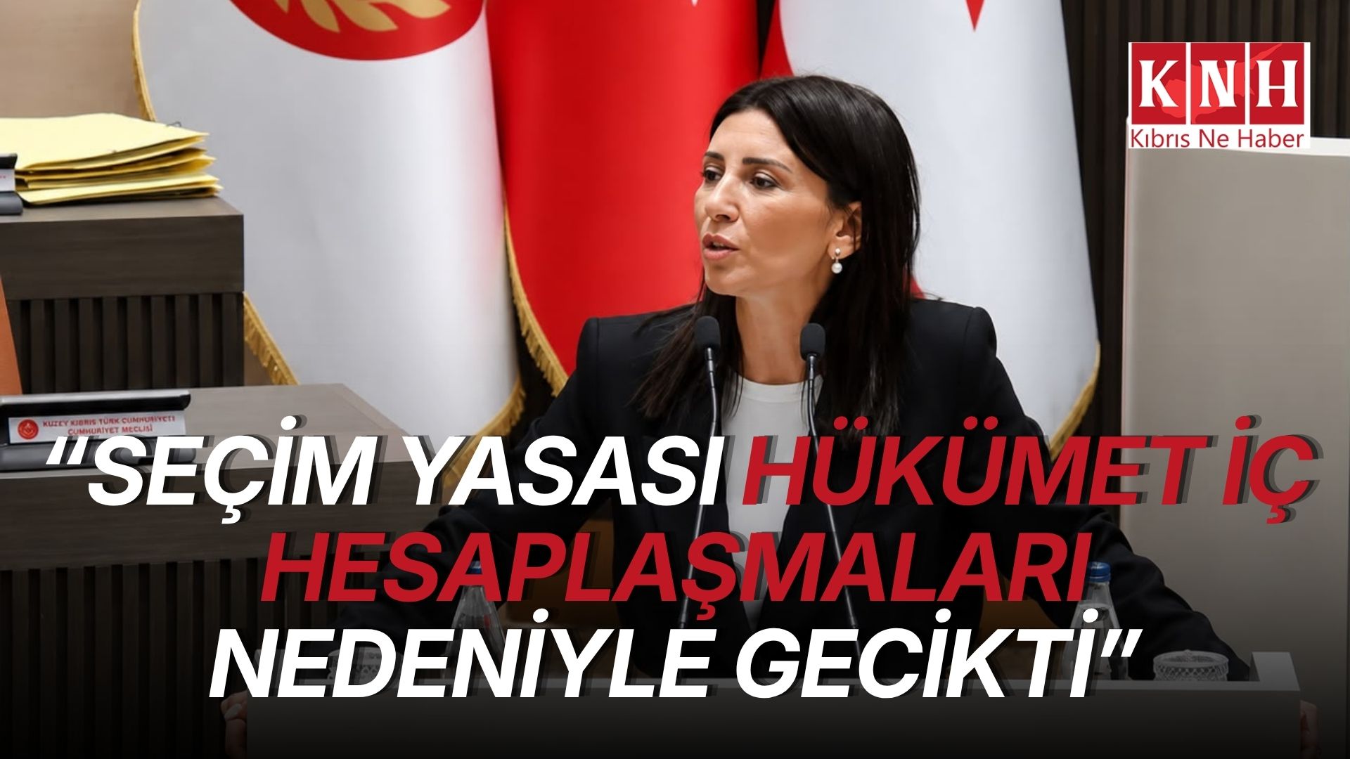 Özdenefe: “Seçim yasası hükümet iç hesaplaşmaları nedeniyle gecikti”