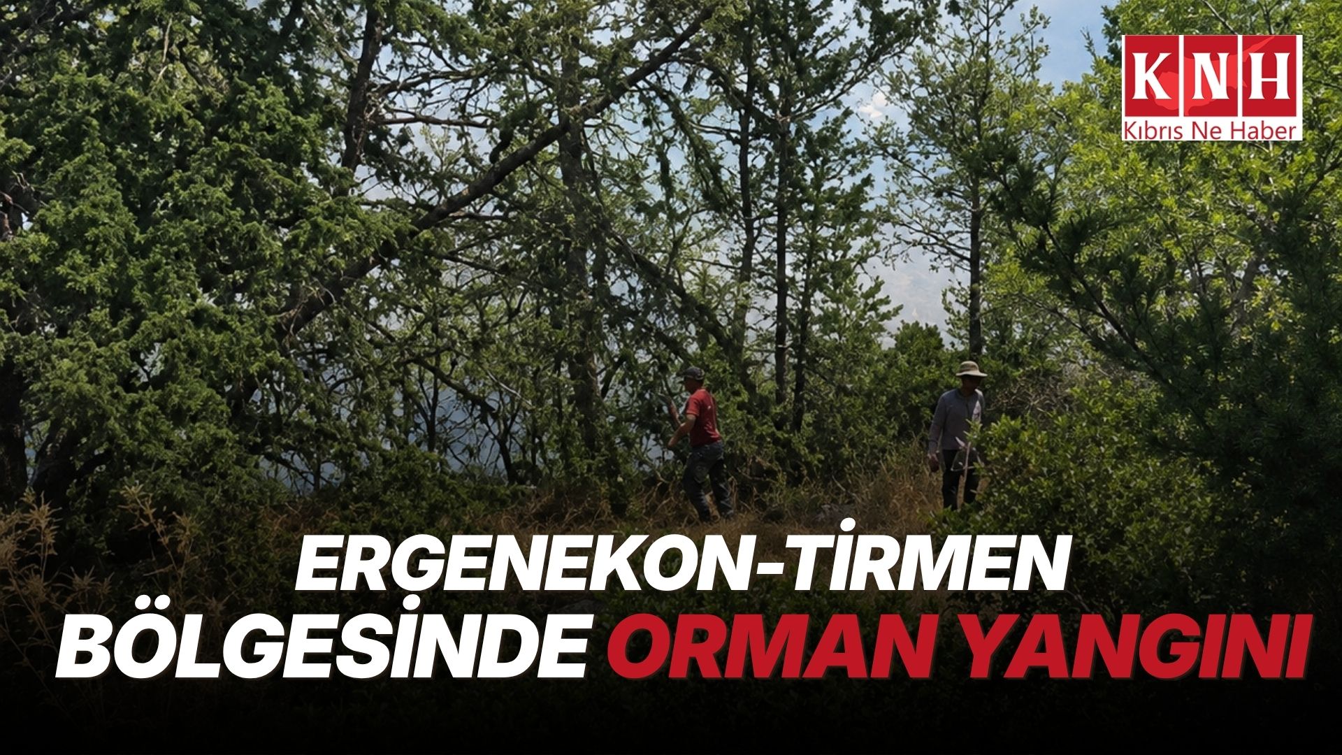 Tirmen’de Orman Yangını: Ekipler Seferber Oldu