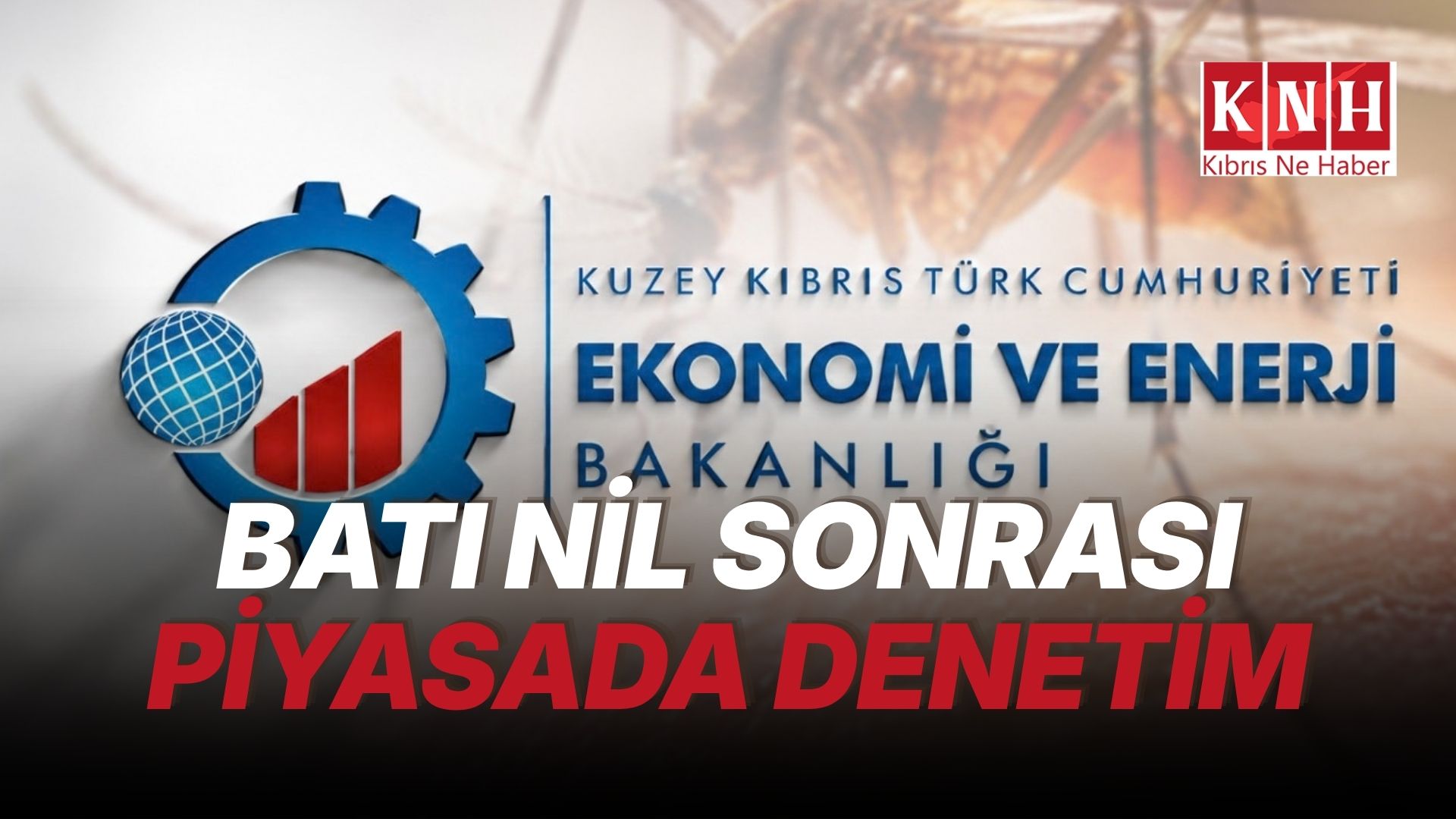 Sinek ilacı ve benzeri ürünler denetleniyor