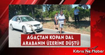 Ağaçtan Kopan Dal Arabanın Üzerine Düştü