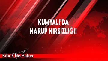 Kumyalı’da Harup Hırsızlığı!