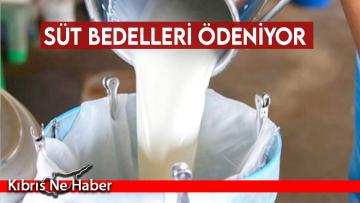 SÜTEK 1-15 Ağustos dönemine ait süt bedellerini ödüyor