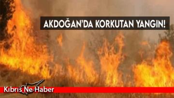 Akdoğan’da korkutan yangın!