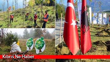 Binlerce fidan toprakla buluştu